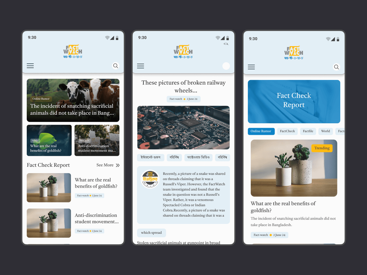 General user persona